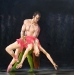 passion-of-the-dance  ( oil 100 x 100cm )