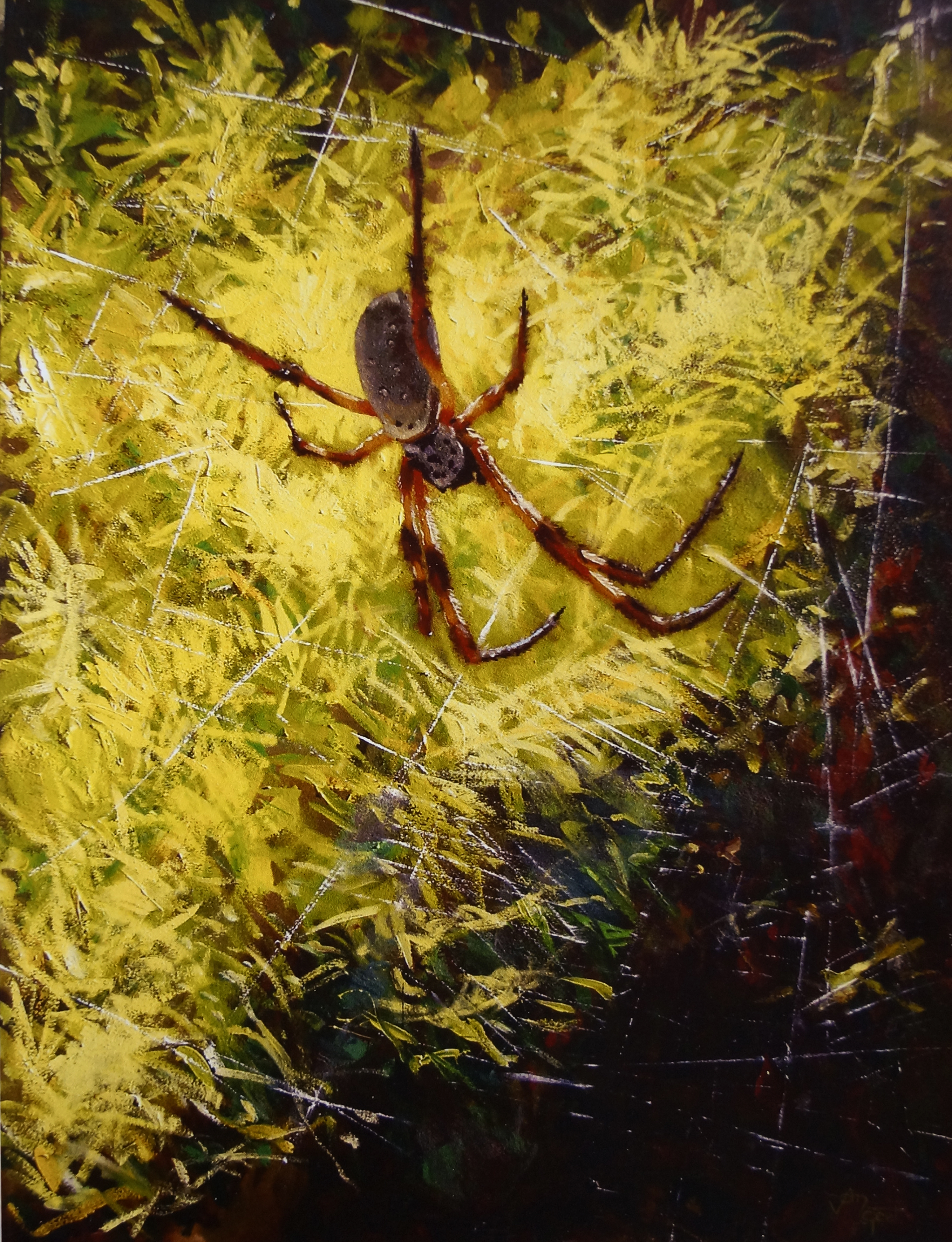 golden-orb-spider ( oil - 90 x 60cm )