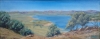 Lake Hume  ( oil - 40 x 90cm )